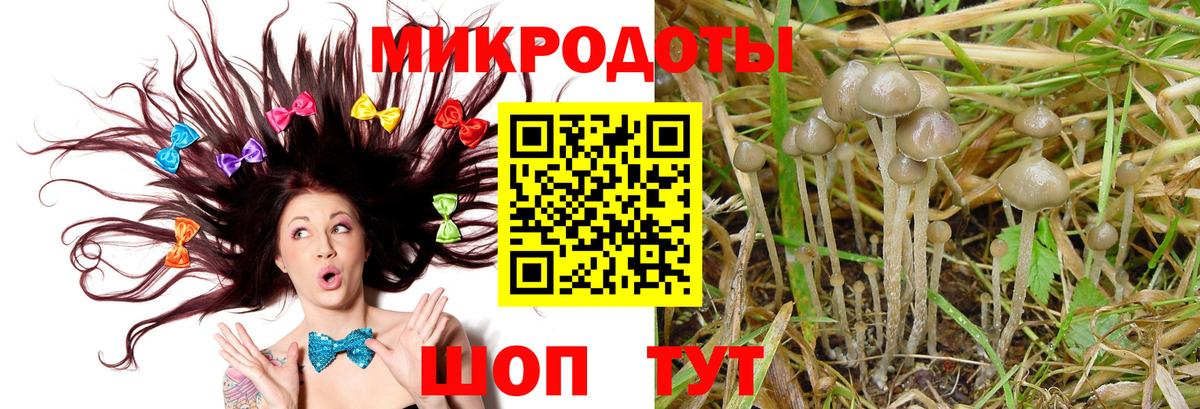 Шарыпово  купить наркотики цена  Вход с VPN  Псилоцибиновые грибы MAGIC MUSHROOMS 